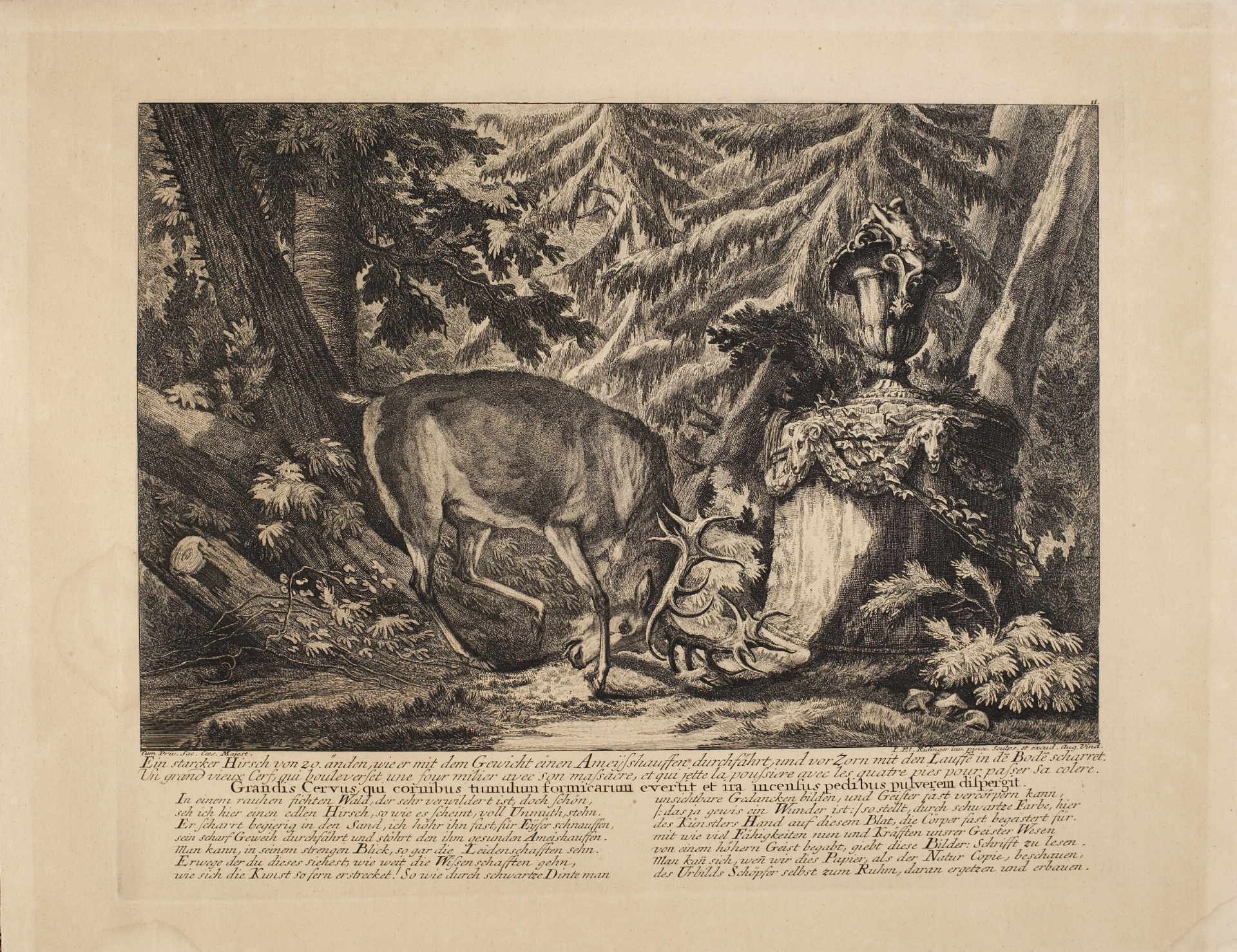Ein starker Hirsch